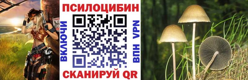 Псилоцибиновые грибы Magic Shrooms Санкт-Петербург