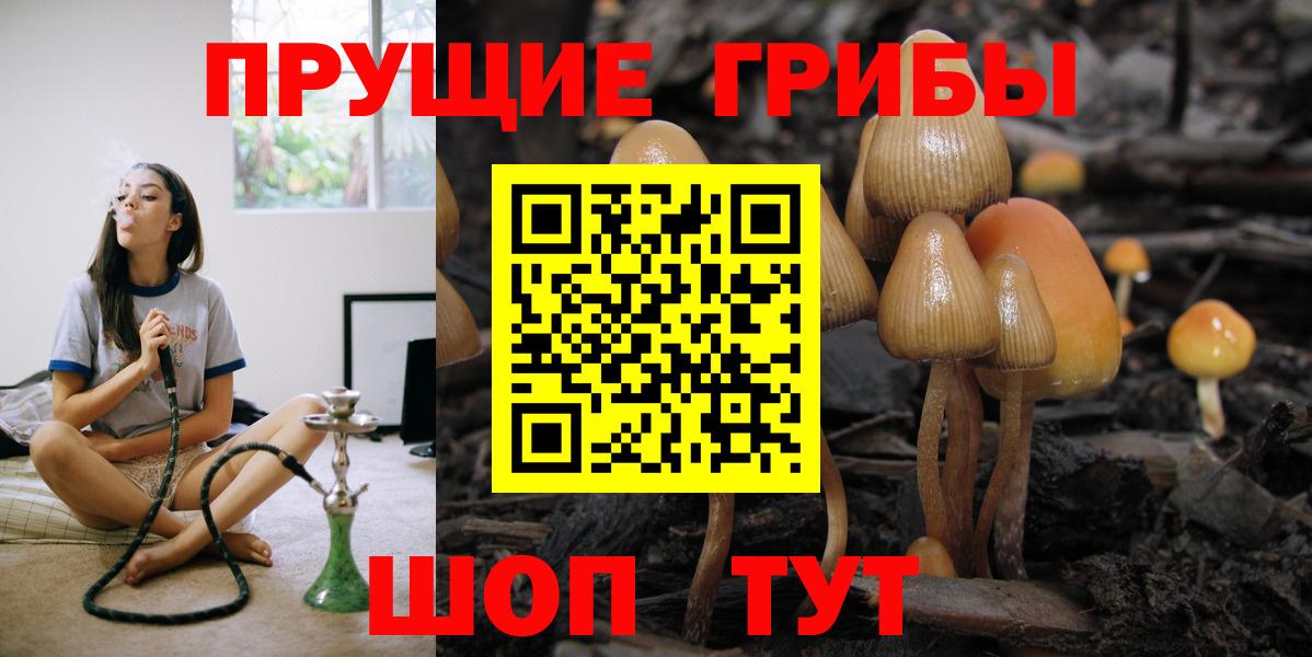 Россия  Псилоцибиновые грибы прущие грибы  Вход с VPN 